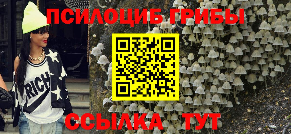 Кировск  Псилоцибиновые грибы Magic Shrooms  Вход с VPN 